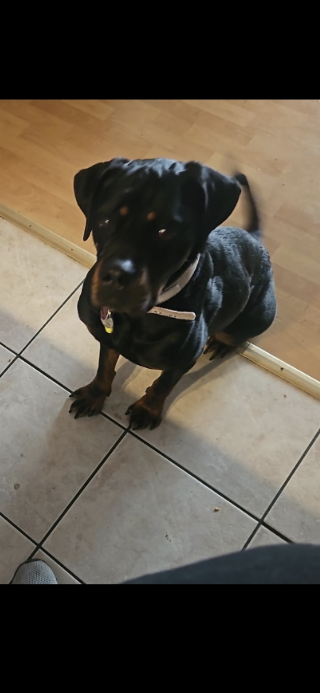Lucy_Screenshot_20260617_121539_Photos.jpg